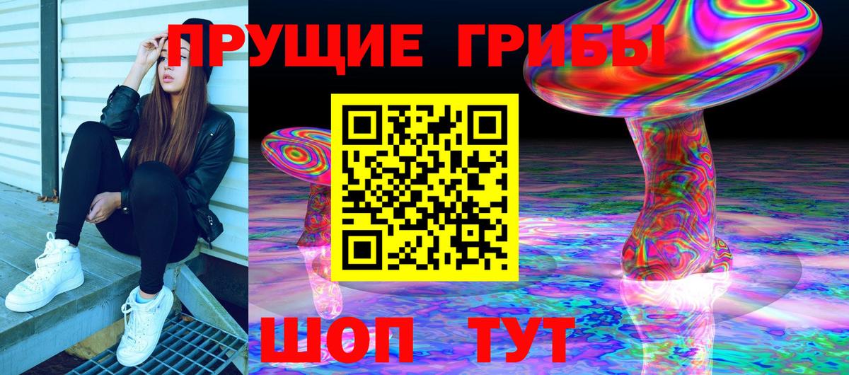 Псилоцибиновые грибы GOLDEN TEACHER  Вход с VPN  Псилоцибиновые грибы Psilocybine cubensis  Черкесск 