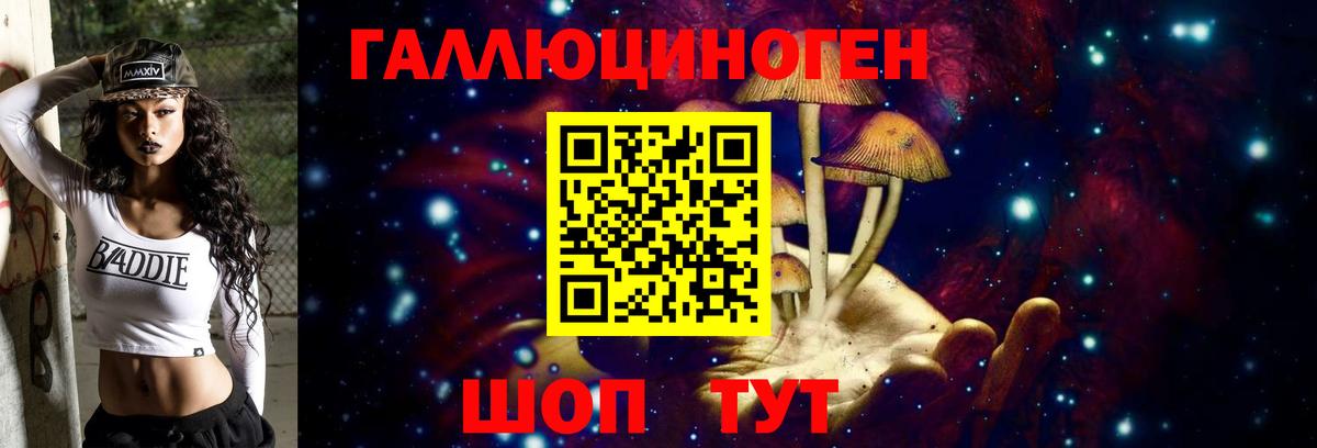 Галлюциногенные грибы мухоморы Черкесск